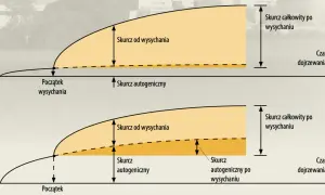 Anatomia betoniarki: Jak jej wygląd zdradza sposób działania?