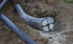 Przekrój grubego kabla energetycznego z czterema żyłami, widoczny w ziemi. Arot przewodów jest solidny.