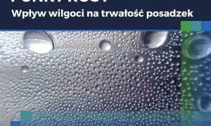 Krople wody na powierzchni, symbolizujące punkt rosy i wpływ wilgoci na trwałość posadzek.