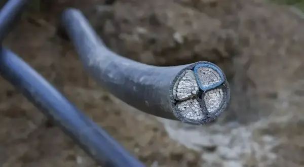 Przekrój grubego kabla energetycznego z czterema żyłami, widoczny w ziemi. Arot przewodów jest solidny.