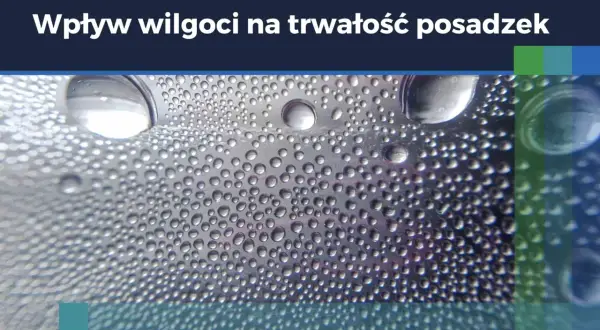 Krople wody na powierzchni, symbolizujące punkt rosy i wpływ wilgoci na trwałość posadzek.