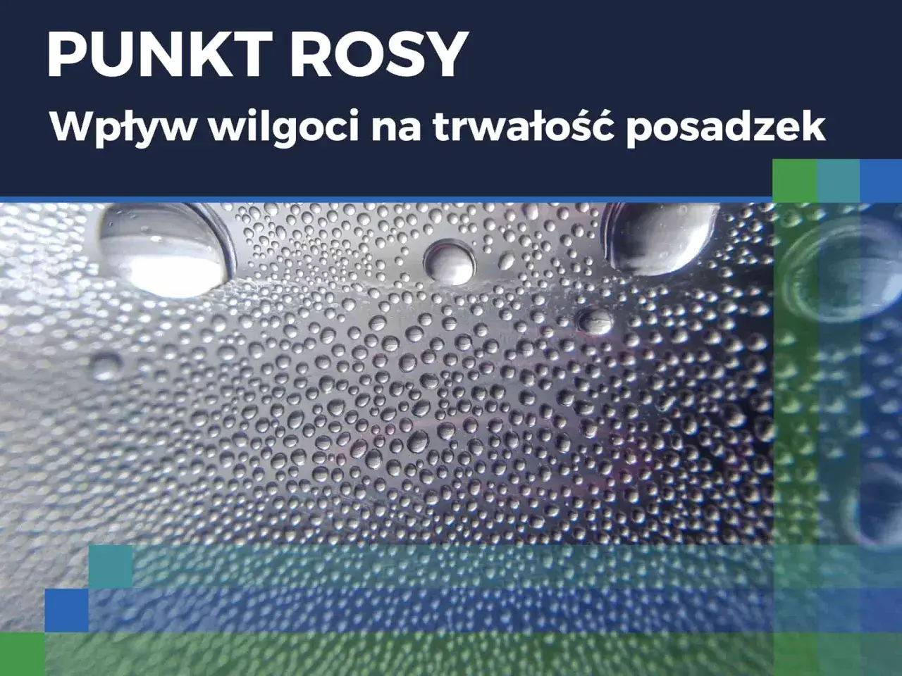 Krople wody na powierzchni, symbolizujące punkt rosy i wpływ wilgoci na trwałość posadzek.